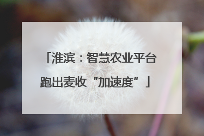 淮滨：智慧农业平台跑出麦收“加速度”