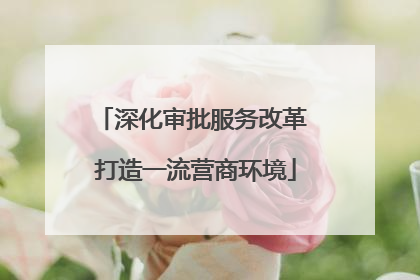深化审批服务改革 打造一流营商环境