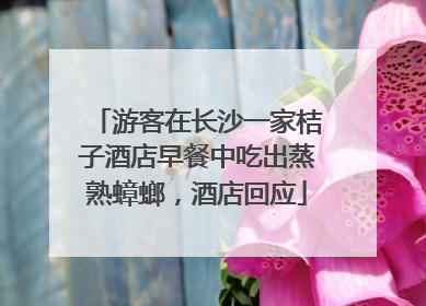 游客在长沙一家桔子酒店早餐中吃出蒸熟蟑螂，酒店回应