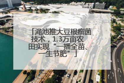 渑池推大豆根瘤菌技术，1.3万亩农田实现“一播全苗、一生节肥”