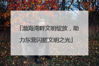 渤海湾畔文明绽放，助力东营闪耀文明之光