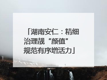 湖南安仁：精细治理靓“颜值” 规范有序增活力