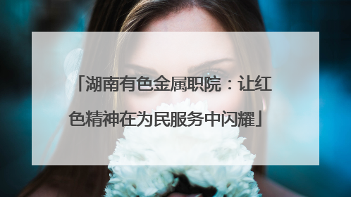 湖南有色金属职院：让红色精神在为民服务中闪耀