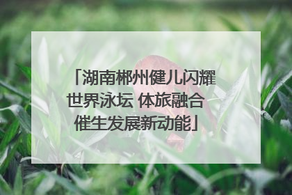 湖南郴州健儿闪耀世界泳坛 体旅融合催生发展新动能