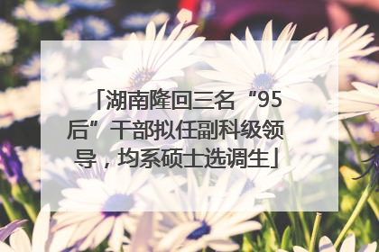 湖南隆回三名“95后”干部拟任副科级领导，均系硕士选调生