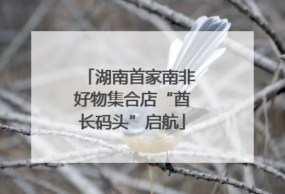 湖南首家南非好物集合店“酋长码头”启航
