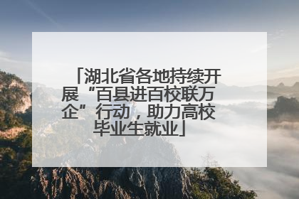 湖北省各地持续开展“百县进百校联万企”行动，助力高校毕业生就业