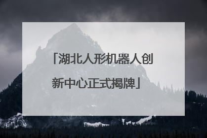 湖北人形机器人创新中心正式揭牌