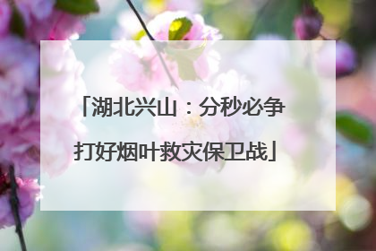 湖北兴山：分秒必争 打好烟叶救灾保卫战