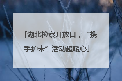 湖北检察开放日，“携手护未”活动超暖心