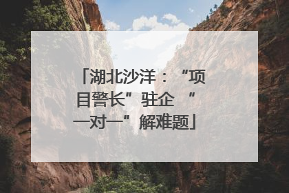 湖北沙洋：“项目警长”驻企 “一对一”解难题