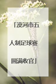 漠河市五人制足球赛圆满收官