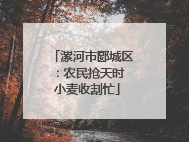 漯河市郾城区：农民抢天时 小麦收割忙