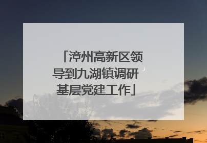 漳州高新区领导到九湖镇调研基层党建工作