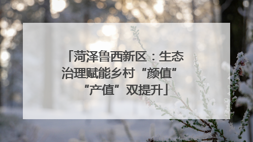 菏泽鲁西新区：生态治理赋能乡村“颜值”“产值”双提升