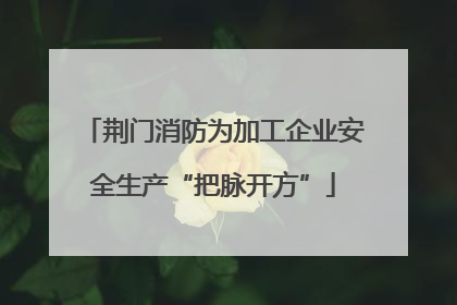 荆门消防为加工企业安全生产“把脉开方”