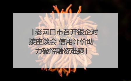 老河口市召开银企对接座谈会 信用评价助力破解融资难题