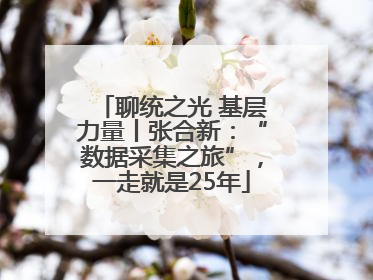 聊统之光 基层力量丨张合新：“数据采集之旅”，一走就是25年
