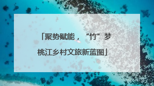 聚势赋能，“竹”梦桃江乡村文旅新蓝图