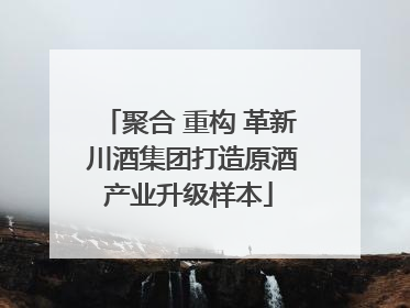 聚合 重构 革新 川酒集团打造原酒产业升级样本