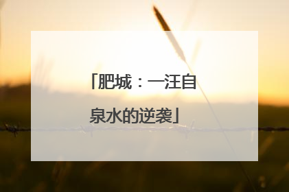 肥城：一汪自泉水的逆袭