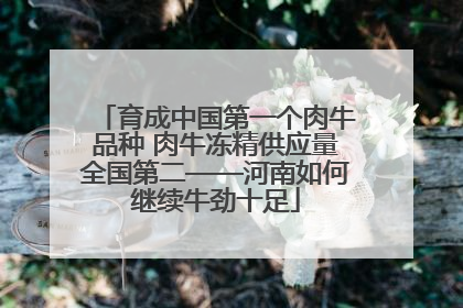 育成中国第一个肉牛品种 肉牛冻精供应量全国第二——河南如何继续牛劲十足