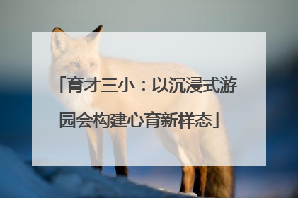 育才三小：以沉浸式游园会构建心育新样态