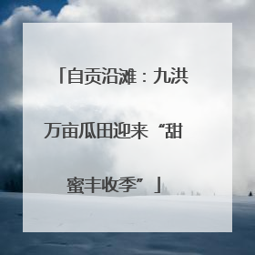 自贡沿滩：九洪万亩瓜田迎来“甜蜜丰收季”