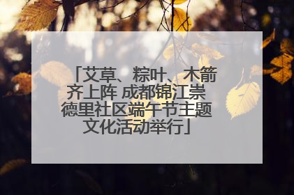 艾草、粽叶、木箭齐上阵 成都锦江崇德里社区端午节主题文化活动举行