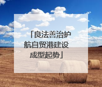 良法善治护航自贸港建设成型起势