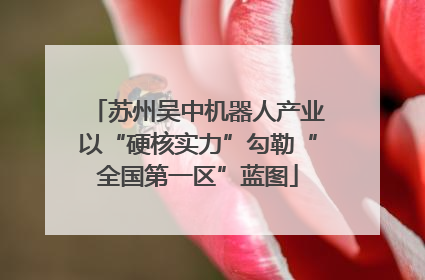 苏州吴中机器人产业以“硬核实力”勾勒“全国第一区”蓝图