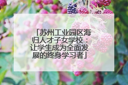 苏州工业园区海归人才子女学校：让学生成为全面发展的终身学习者