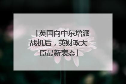 英国向中东增派战机后，英财政大臣最新表态