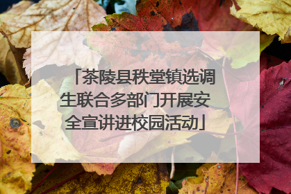 茶陵县秩堂镇选调生联合多部门开展安全宣讲进校园活动