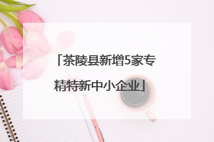 茶陵县新增5家专精特新中小企业