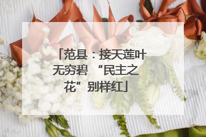 范县：接天莲叶无穷碧 “民主之花”别样红