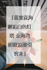 蓝紫花海邂逅白色灯塔 金海湾初夏浪漫引客来