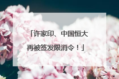 许家印、中国恒大再被签发限消令！