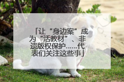 让“身边案”成为“活教材”、非遗版权保护……代表们关注这些事