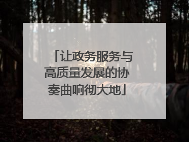 让政务服务与高质量发展的协奏曲响彻大地