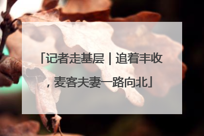 记者走基层｜追着丰收，麦客夫妻一路向北
