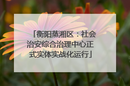 衡阳蒸湘区：社会治安综合治理中心正式实体实战化运行