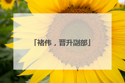 褚伟，晋升副部
