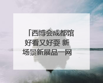 西博会成都馆好看又好耍 新场景新展品一网打尽“成都智造”｜西博视界