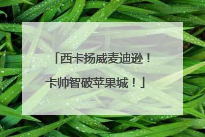 西卡扬威麦迪逊！卡帅智破苹果城！