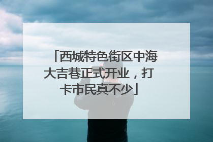 西城特色街区中海大吉巷正式开业，打卡市民真不少