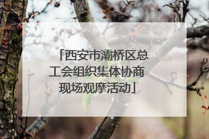 西安市灞桥区总工会组织集体协商现场观摩活动