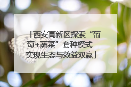 西安高新区探索“葡萄+蔬菜”套种模式 实现生态与效益双赢