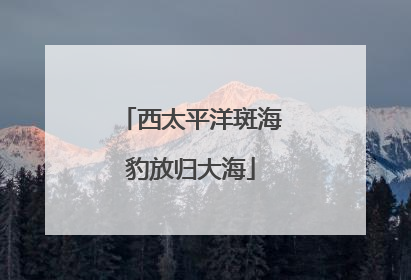 西太平洋斑海豹放归大海