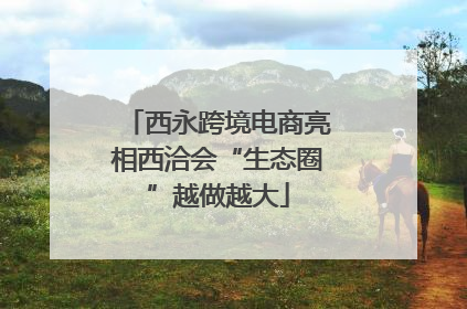 西永跨境电商亮相西洽会“生态圈”越做越大